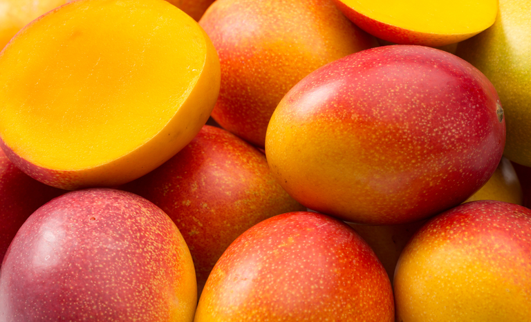Fruta mais exportada pelo Brasil é a manga