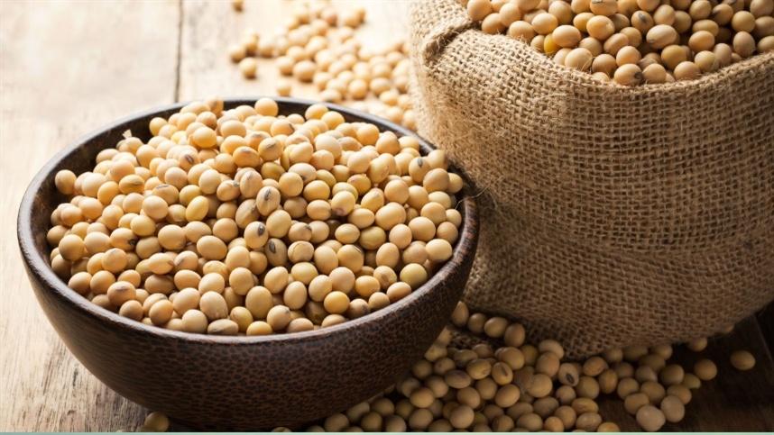 China: USDA em Pequim mantém projeção de importação de soja em 2025/26