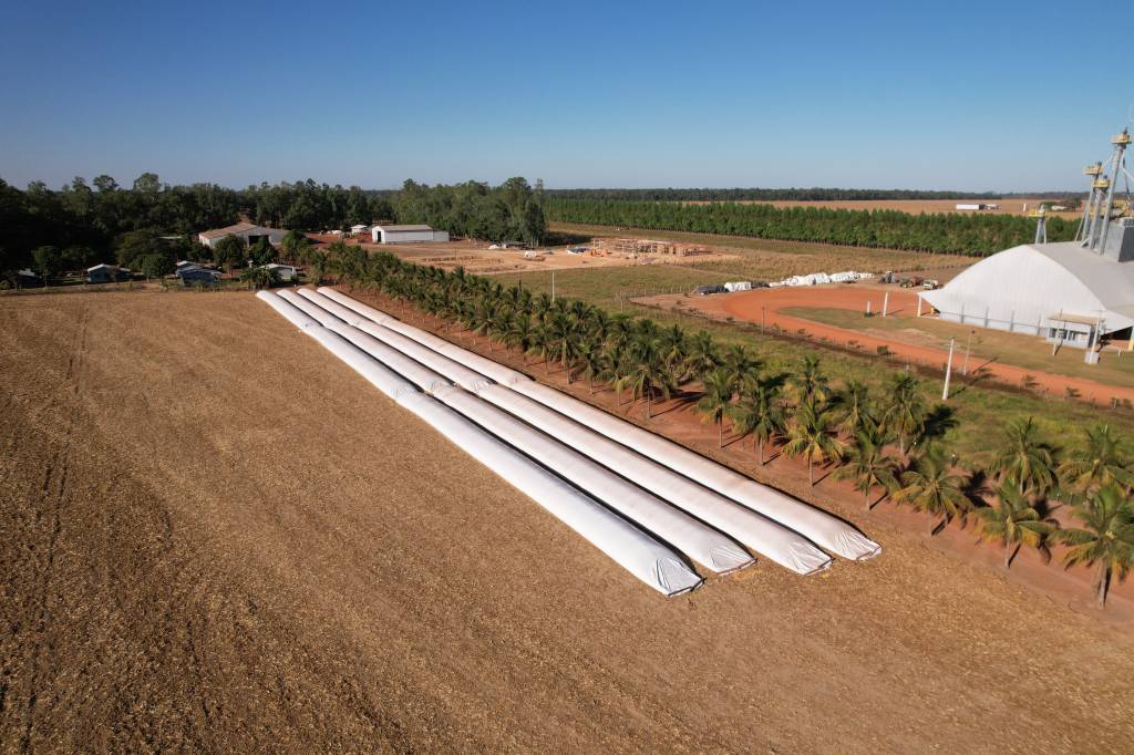 Armazenagem segue como desafio estratégico para os produtores de Mato Grosso