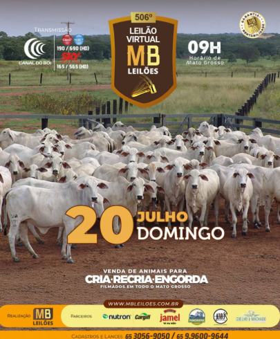 506º Leilão Virtual MB Leilões neste domingo no Canal do Boi