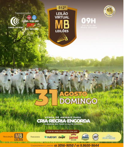 512º Leilão Virtual MB Leilões neste domingo no Canal do Boi