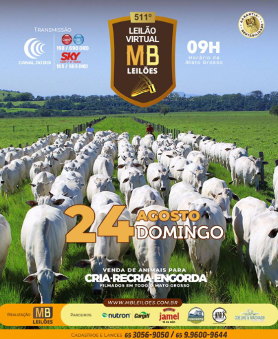 511º Leilão Virtual MB Leilões neste domingo no Canal do Boi