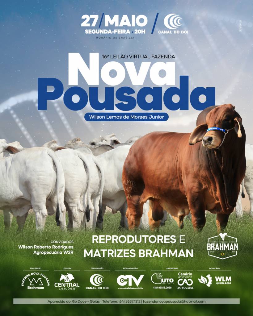 16° Leilão Brahman Nova Pousada hoje às 19h no Canal do Boi