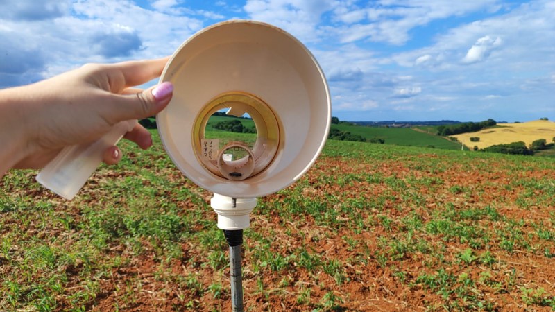 Monitoramento da ferrugem da soja completa dois meses nas lavouras gaúchas