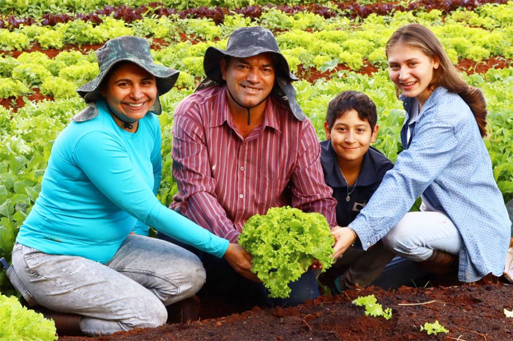 MS tem R$ 3,1 milhões em recursos do Programa de Aquisição de Alimentos para a agricultura familiar