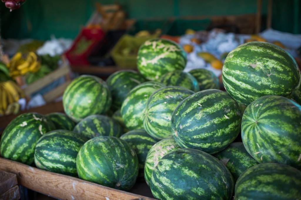 Goiás lidera produção nacional de melancia
