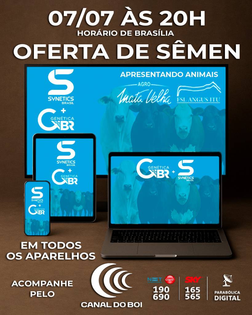 Oferta de Sêmen Genética BR e Synetics às 20h no Canal do Boi