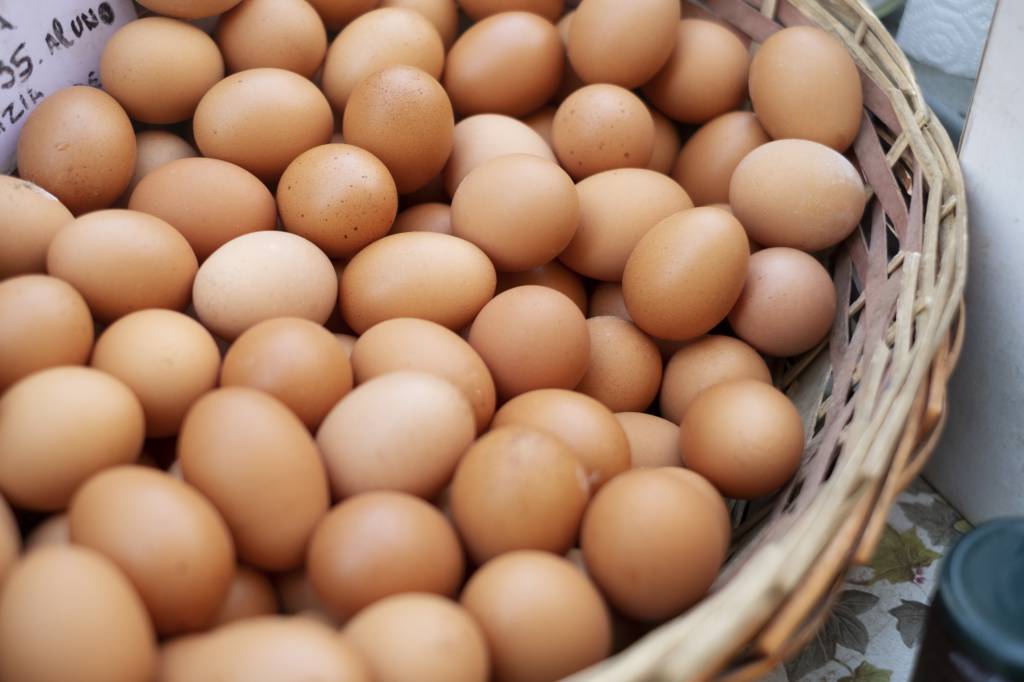 Cotações dos ovos sobem até 7% na semana