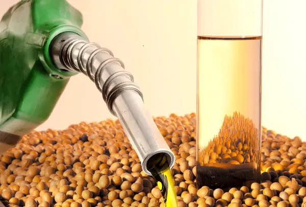 Óleo de soja tem forte alta em Chicago com expectativa de maior demanda para biodiesel nos EUA