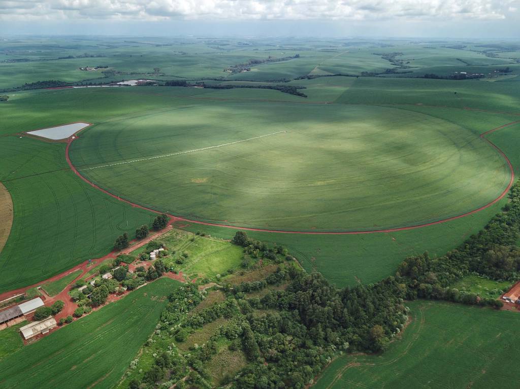Preço de terras agricultáveis no Paraná teve redução de 5%