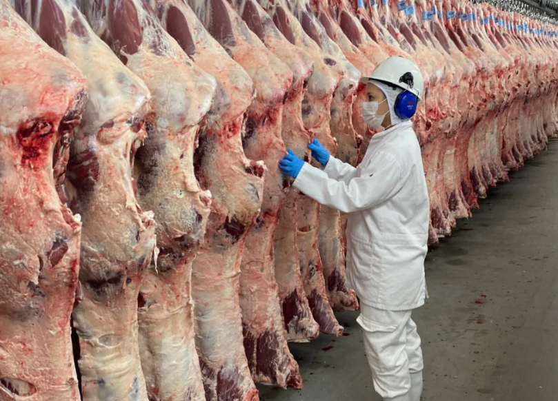 Além do tarifaço, privatização das inspeções agropecuárias ameaça exportações de carne