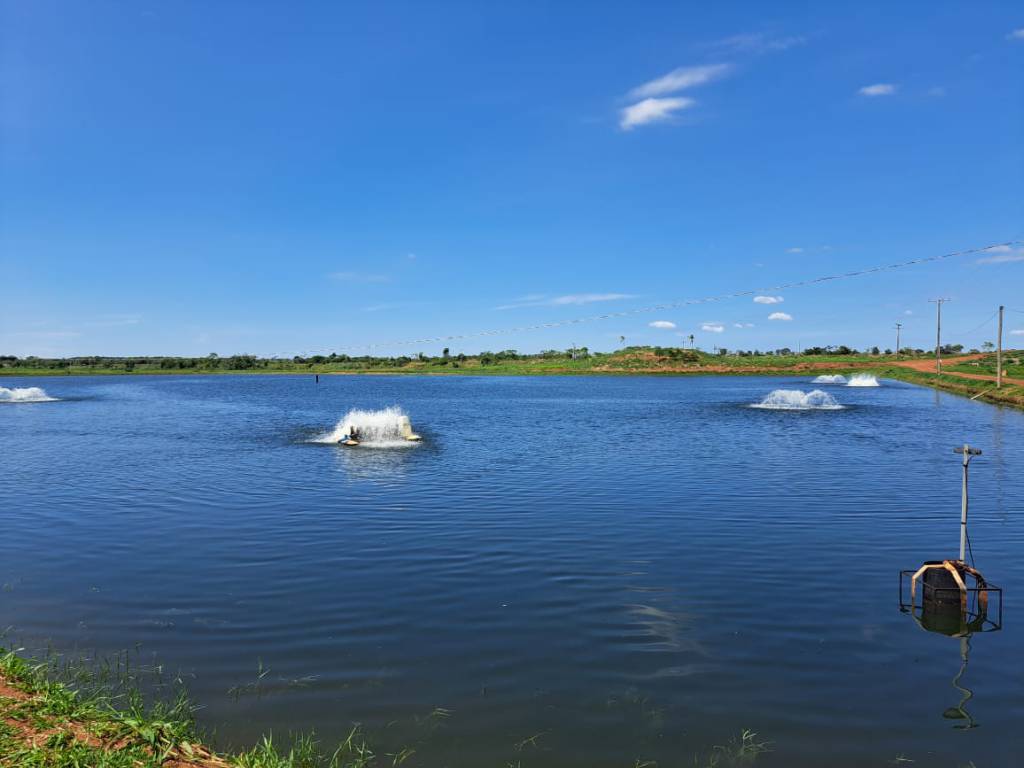 Piscicultura sul-mato-grossense ganha novo fôlego com ações do Governo do Estado e deve produzir 50 mil toneladas neste ano