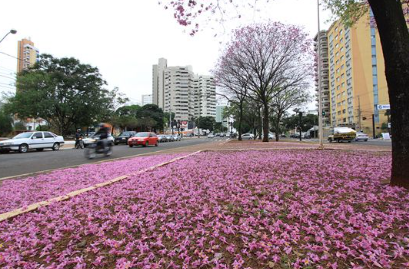 La Niña pode influenciar a primavera no Brasil, aponta NOAA