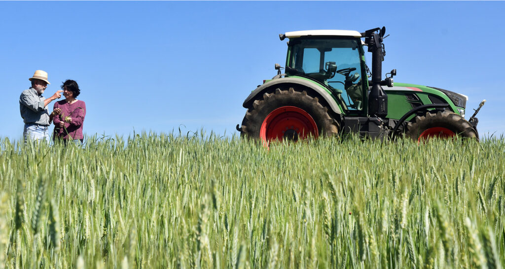Agropecuária é destaque na produção científica brasileira