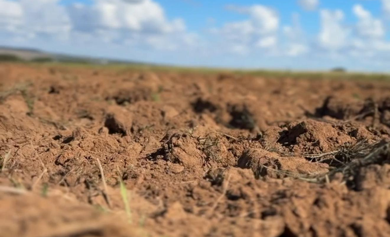 Programa Solo Vivo vai recuperar áreas degradadas e fortalecer a agricultura familiar em Mato Grosso