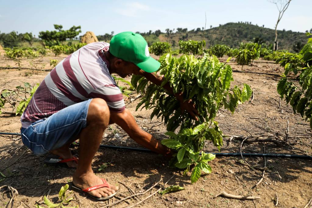 Governo do Estado de Mato Grosso avança na implementação do projeto MT Produtivo com foco na agricultura familiar sustentável