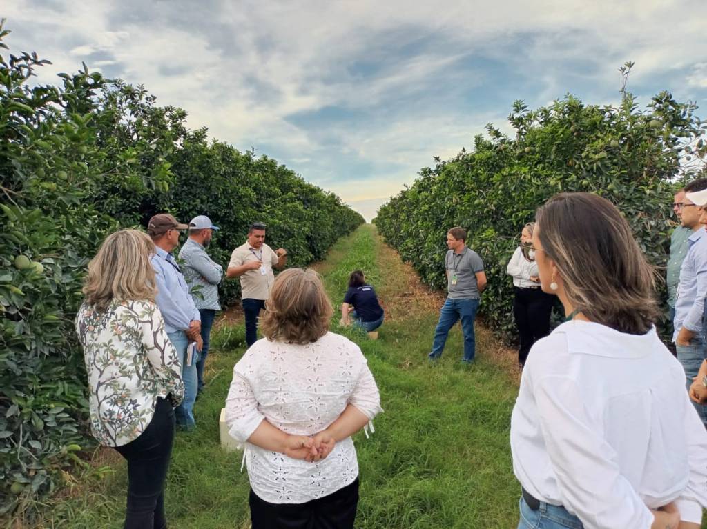 Especialistas do Sul visitam o Paraná para conhecer modelo de combate ao greening