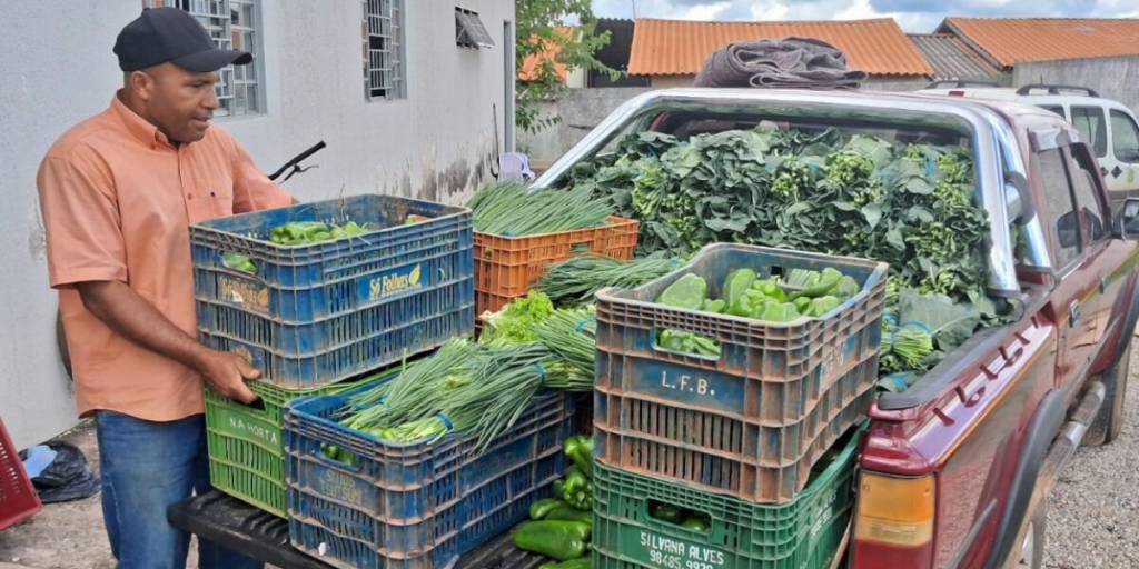 Ações da Emater contribuem para reduzir a insegurança alimentar