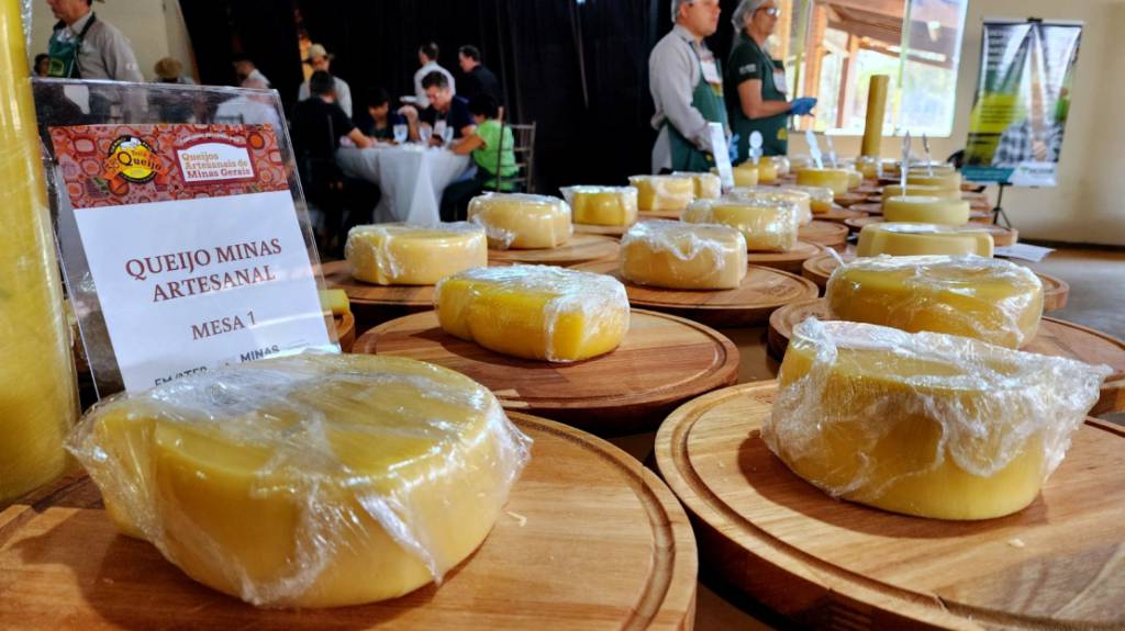 Concursos de queijos artesanais agitam Minas Gerais e valorizam a cultura local
