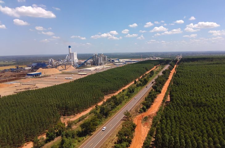 Comissão especial de licitação define recurso sobre Rota da Celulose e dá prazo a convocação