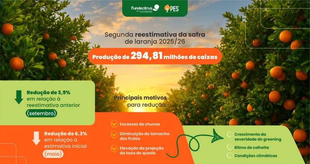 Segunda reestimativa da safra de laranja 2025/26 em SP e MG prevê produção de 294,81 milhões de caixas