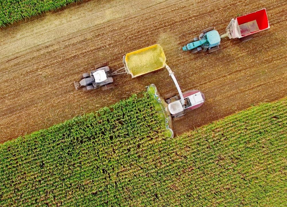 Agro Paulista registra superávit de 9,7% nos sete primeiros meses do ano