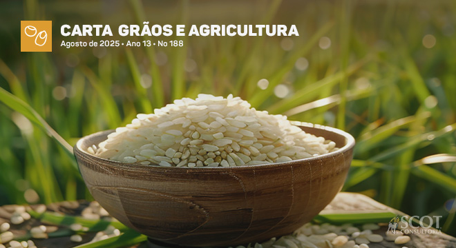 Carta Grãos e Agricultura - Arroz: previsão de estoques finais em alta e preços em baixa