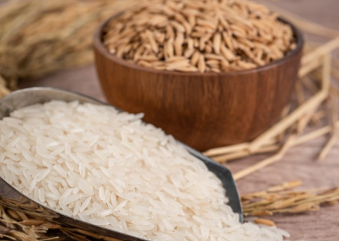 Prazo para envio de projetos para aquisição de sementes destinados a indígenas, quilombolas e para o Arroz da Gente é prorrogado