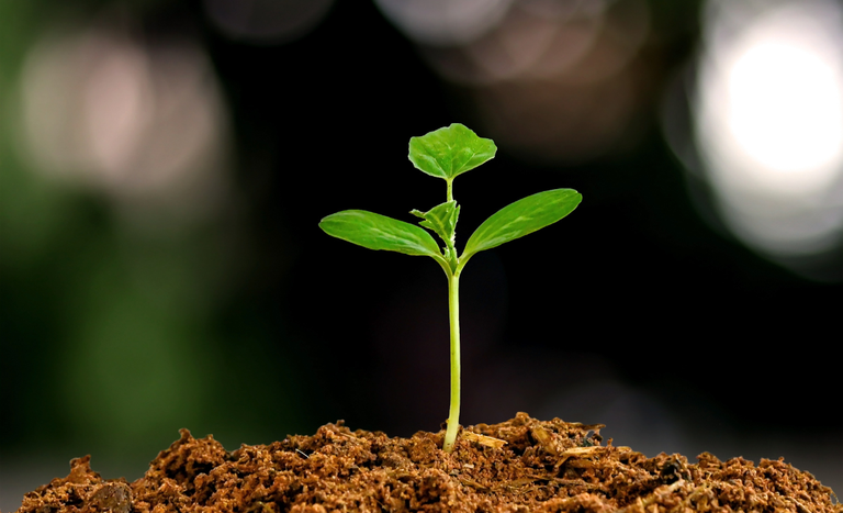 Apta Regional marca presença na COP30 com foco em agricultura sustentável e bioeconomia