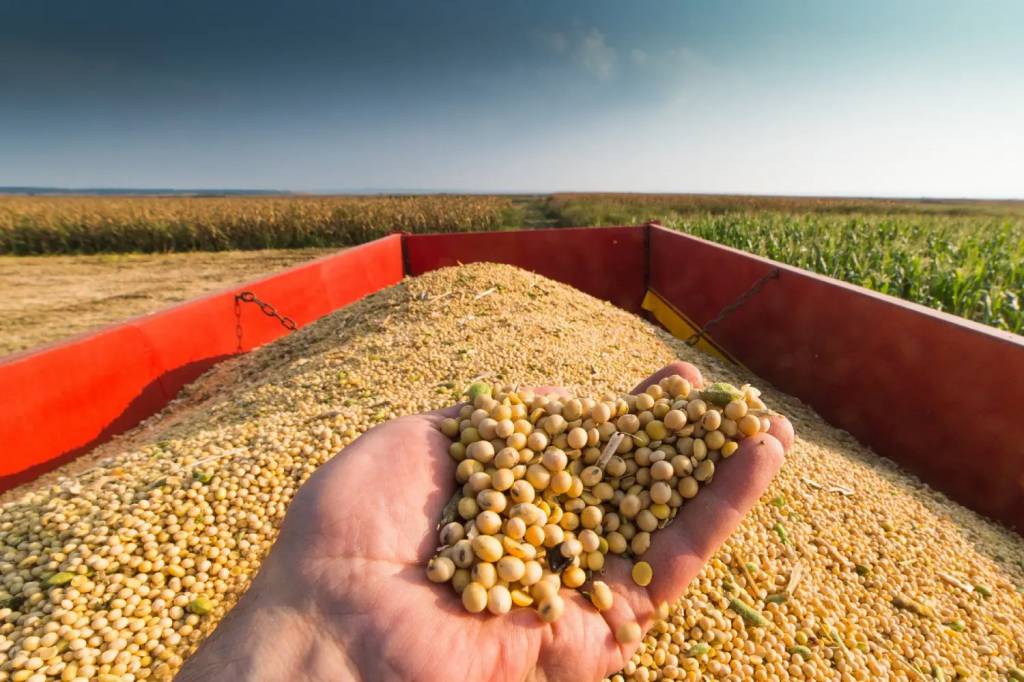 Descompasso entre compradores e vendedores desacelera negociações de soja no Brasil