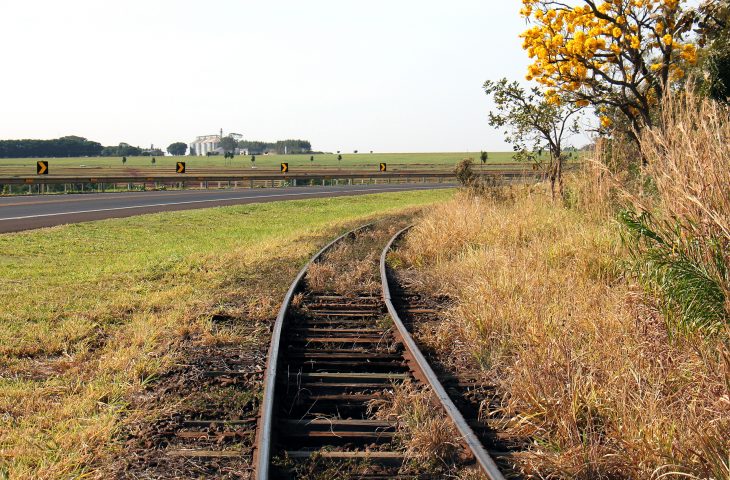 Arauco inicia atividades preparatórias para implantação de ramal ferroviário