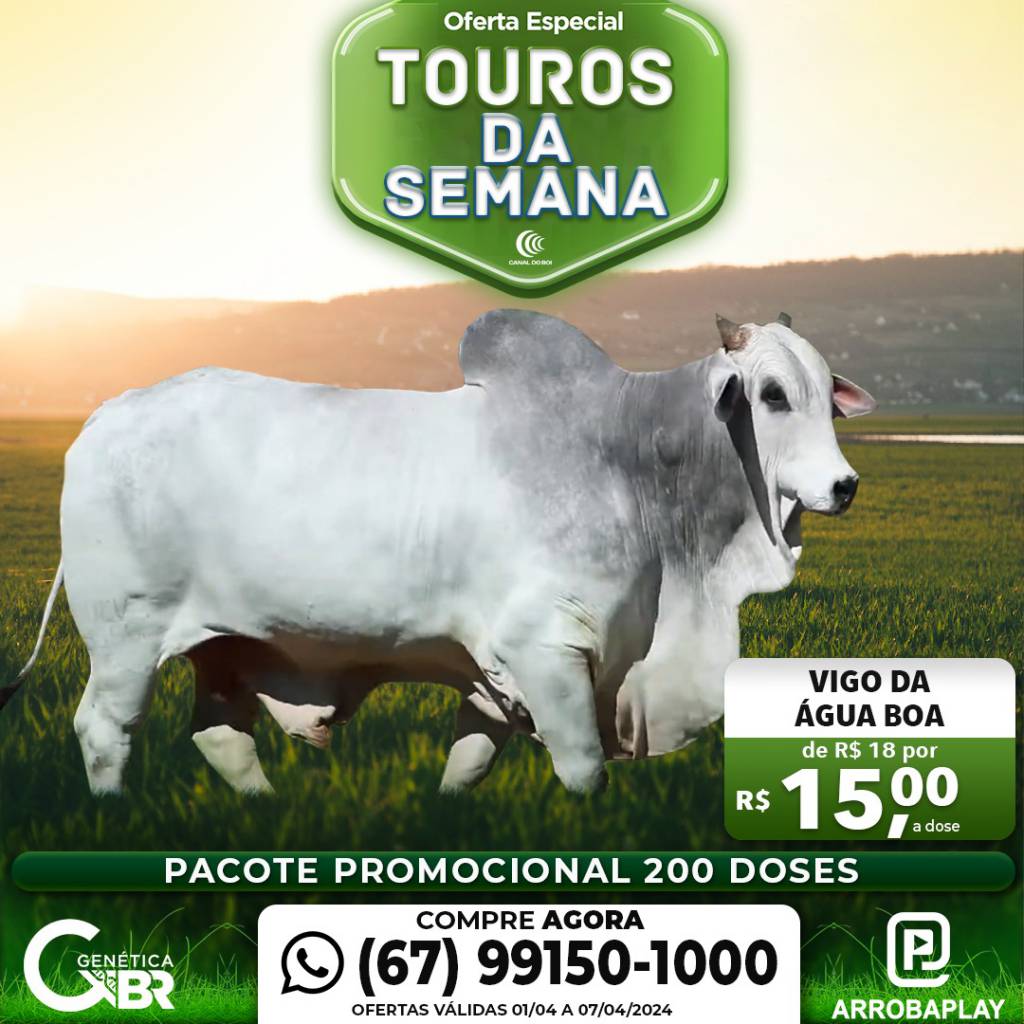 Conheça os touros com venda especial de sêmen desta semana