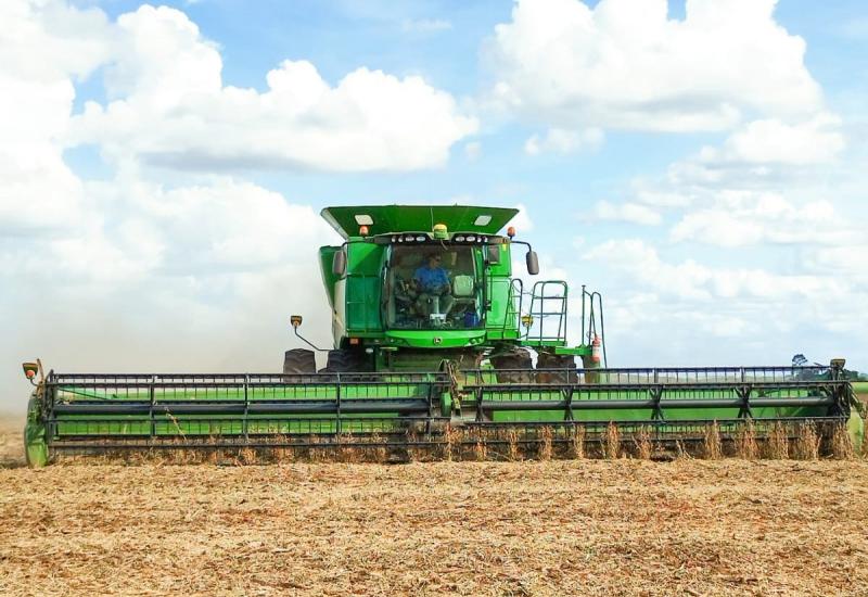 Lavouras representam 67% do VBP de junho em MS