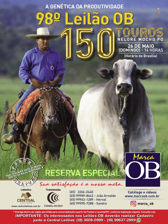 98° Leilão OB - Touros Nelore Mocho P.O. hoje às 14h no Canal do Boi
