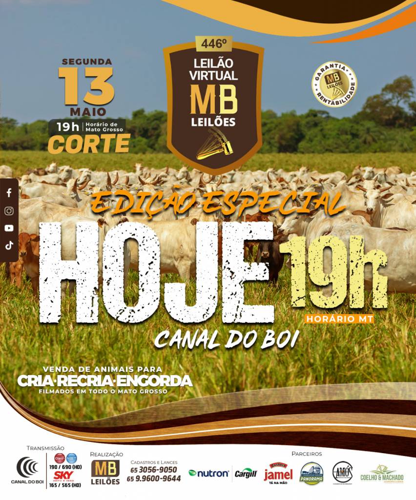 MB Leilões realiza leilão de gado de corte hoje às 20h no Canal do Boi