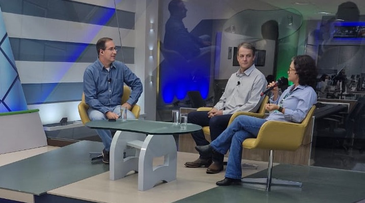 Entenda a importância das abelhas para o agronegócio