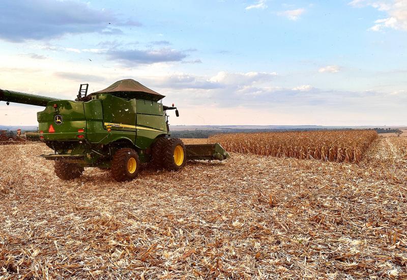 Mais de 300 mil hectares de milho já foram colhidos no MS