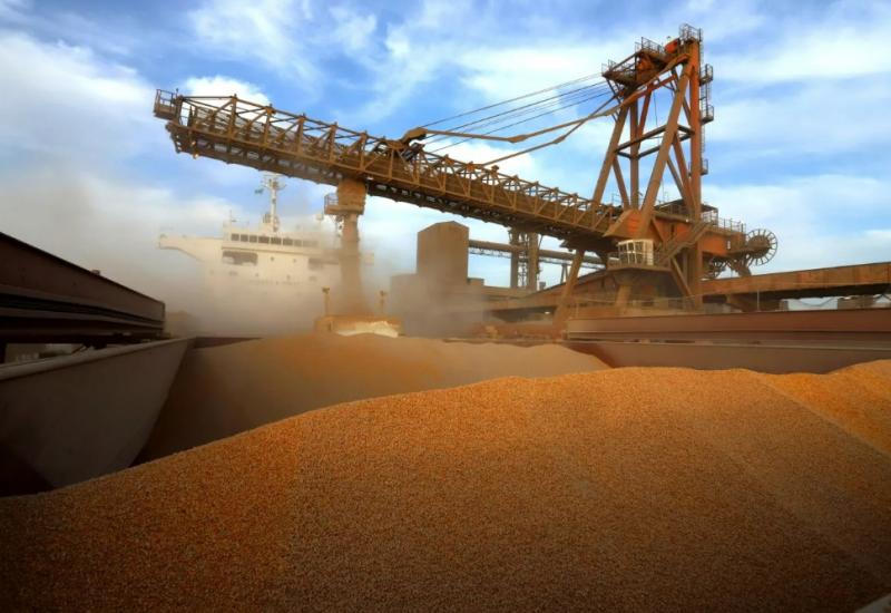 Exportações de milho apresentam queda significativa no mês de junho em MS