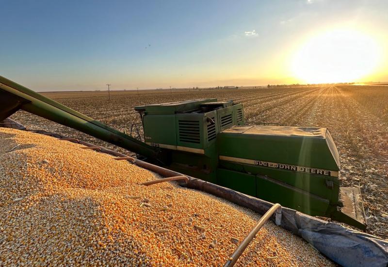 Milho impulsiona exportações de Mato Grosso do Sul em setembro