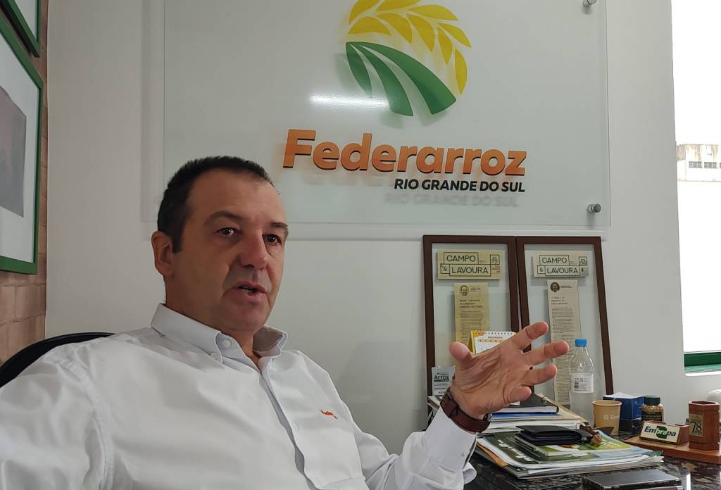 Federarroz alerta para possível redução de área plantada e impacto das chuvas na produção total