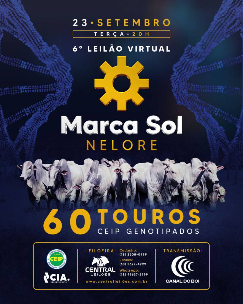 6º Leilão Virtual Marca Sol Nelore hoje às 19h no Canal do Boi 