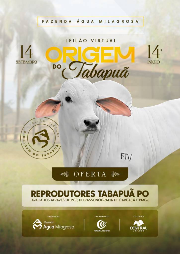 Leilão Virtual Origem do Tabapuã hoje às 14h no Canal do Boi 