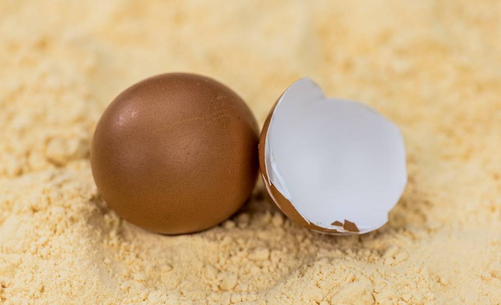 Abertura de três novos mercados para o Brasil na Argentina