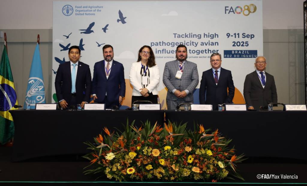 Brasil recebeu diálogo global inédito sobre influenza aviária promovido pela FAO