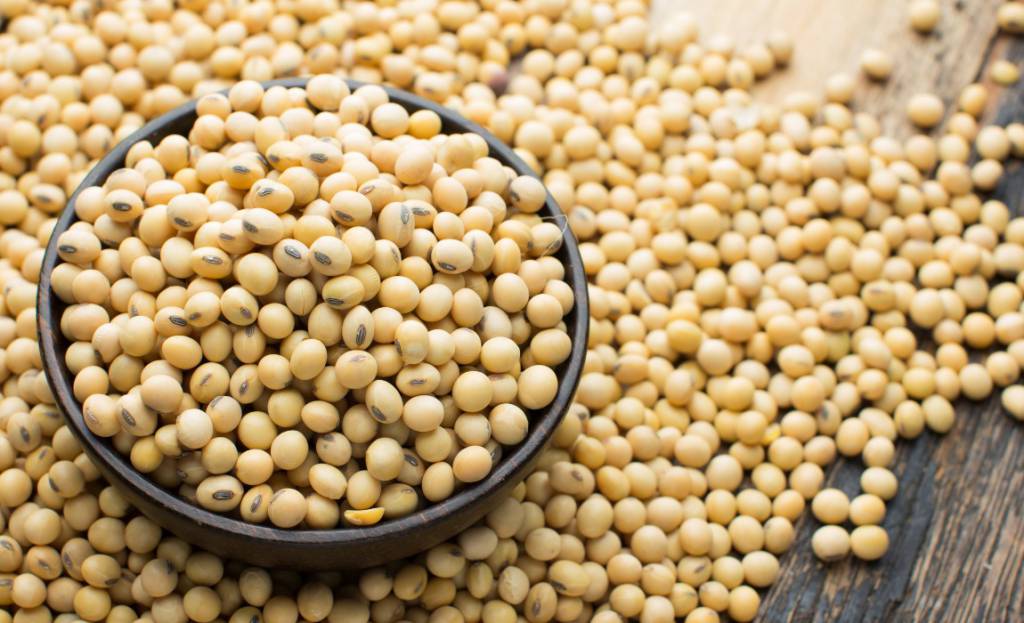 Exportações do agro somam US$14,29 bilhões em agosto e mantêm trajetória positiva