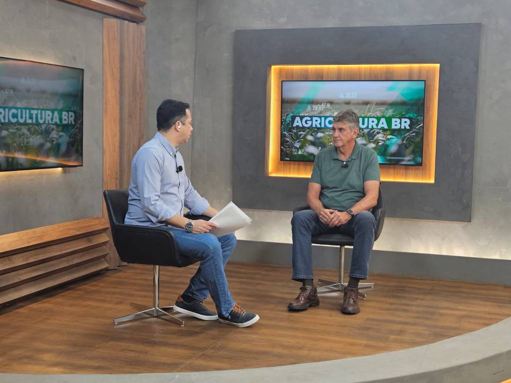 Menor oferta de bezerros deve melhorar margens da pecuária nos próximos anos