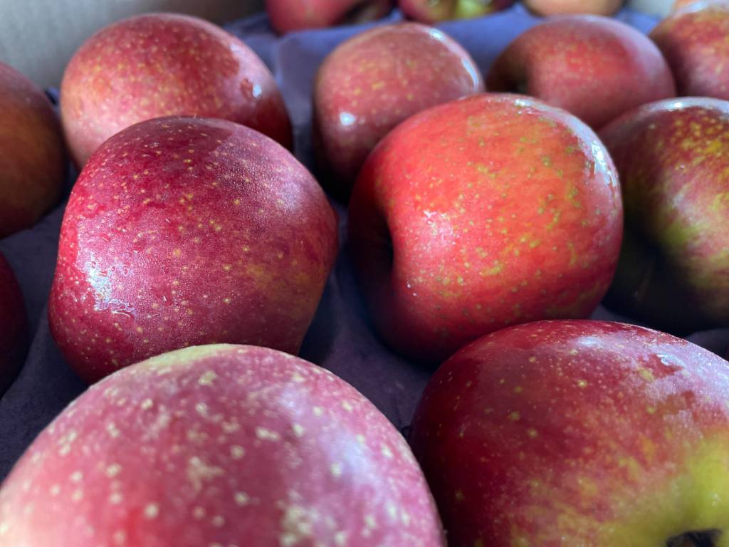 Frutas caem, batata-doce dispara: confira os preços da semana na Ceasa/MS