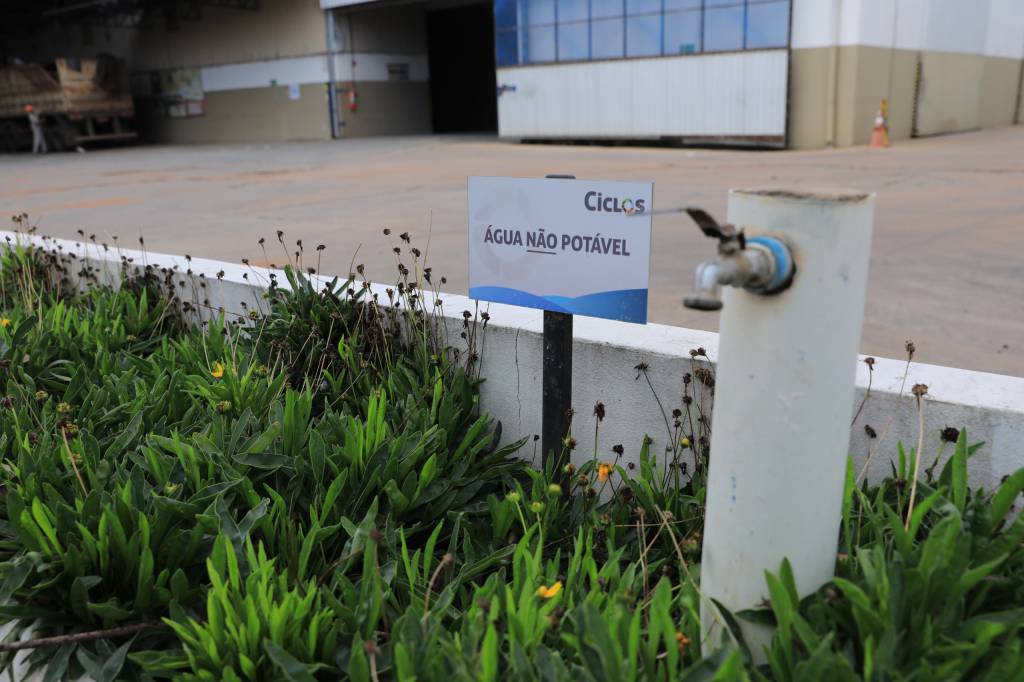 Case sustentável em agroindústria representará MS na COP 30