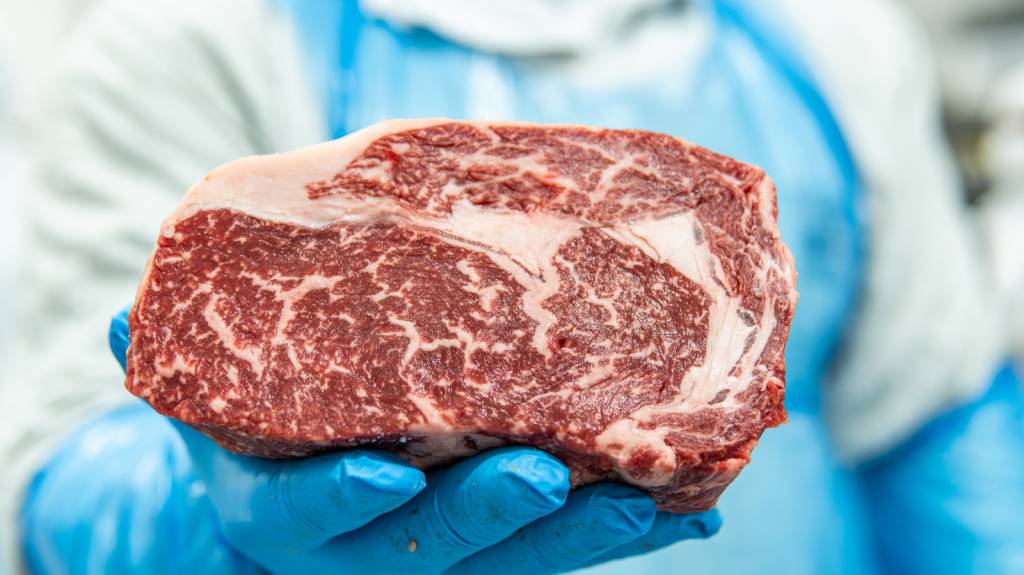 Industria brasileira marca presença no mundial de carnes em Buenos Aires