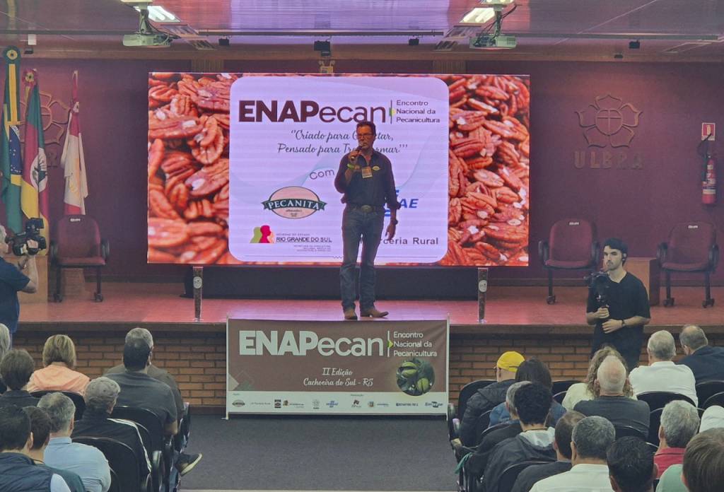 ENAPecan inicia com debates sobre inovação e expansão da cadeia da noz-pecã no Brasil